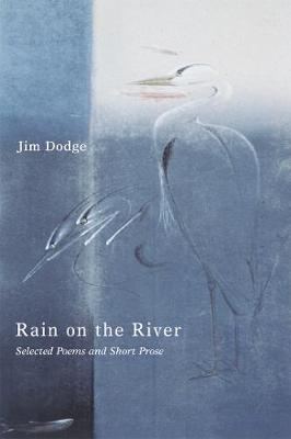 Book cover for Rain on the River