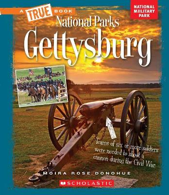 Book cover for Gettysburg (a True Book: National Parks)