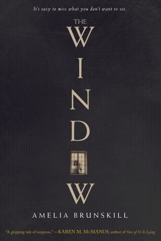 Book cover for Window