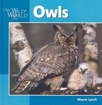 Book cover for Owls