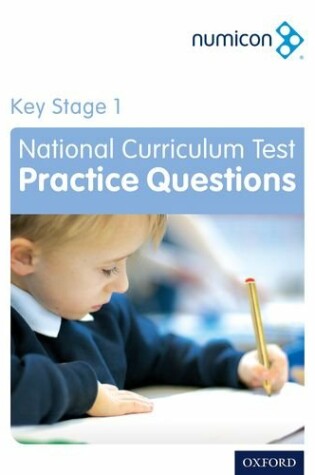 Cover of Numicon: Key Stage 1 National Curriculum Test Practice Questions