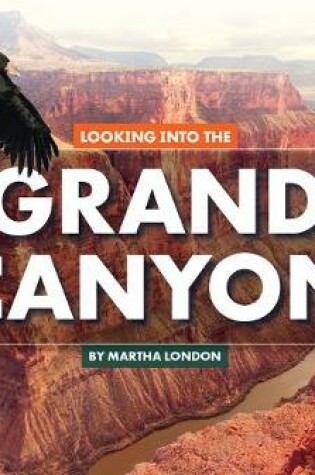 Cover of Looking Into the Grand Canyon