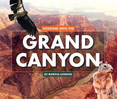 Book cover for Looking Into the Grand Canyon