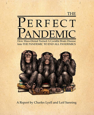 Book cover for The Perfect Pandemic