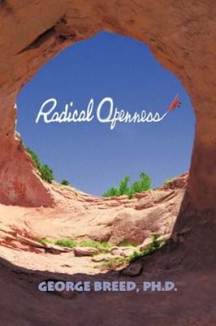 Cover of Radical Openness