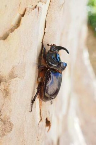 Cover of Rhinoceros Beetle Bug Journal