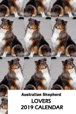 Book cover for Australian Shepherd Lovers 2019 Calendar