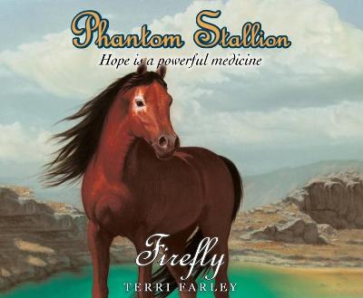Cover of Phantom Stallion