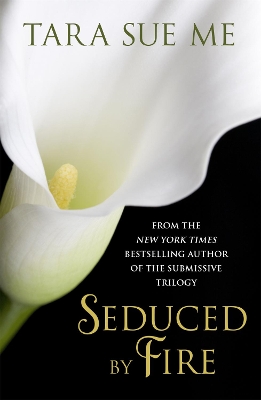 Book cover for Seduced By Fire: A Partners In Play Novel