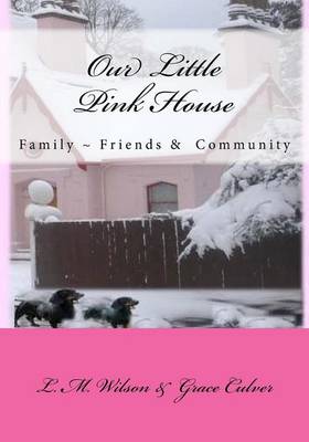 Book cover for The Little Pink House