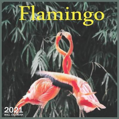 Book cover for Flamingo