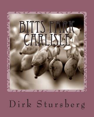 Book cover for Bitts Park Carlisle