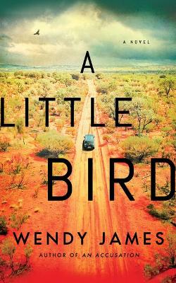 Book cover for A Little Bird