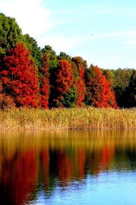 Book cover for Lakeside in the Fall Nature Journal