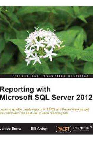 Cover of Reporting with Microsoft SQL Server 2012 (Professional Experience Distilled)