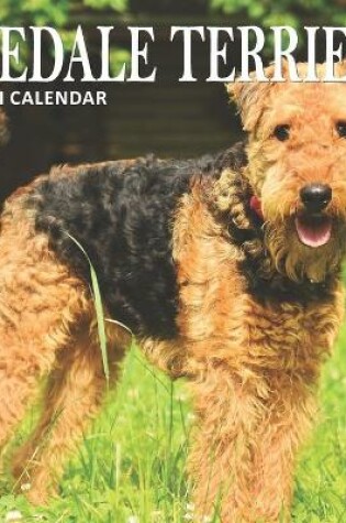 Cover of Airedale Terriers