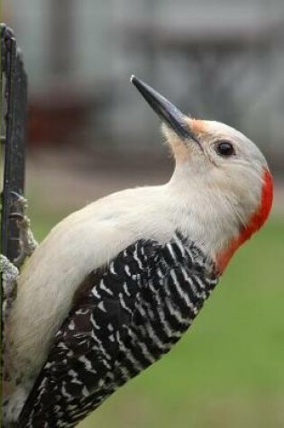 Cover of Woodpecker Watching Blank Lined Journal Notebook