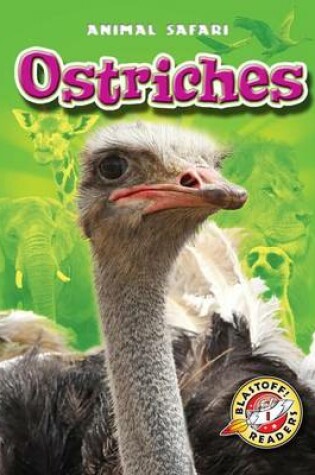 Cover of Ostriches