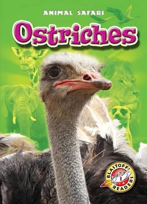 Cover of Ostriches