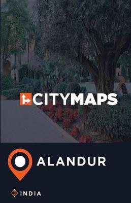 Book cover for City Maps Alandur India