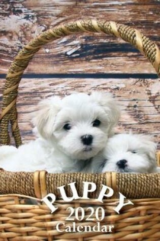 Cover of Puppy 2020 Calendar