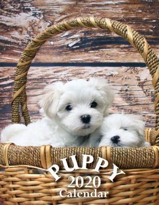 Book cover for Puppy 2020 Calendar