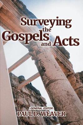 Book cover for Surveying the Gospels and Acts