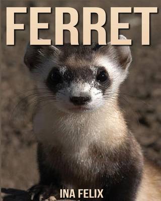 Book cover for Ferret