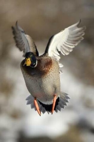 Cover of Careful! Low Flying Duck Journal