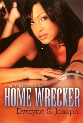 Book cover for Home Wrecker