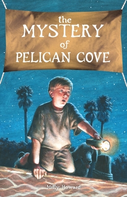 Book cover for The Mystery of Pelican Cove