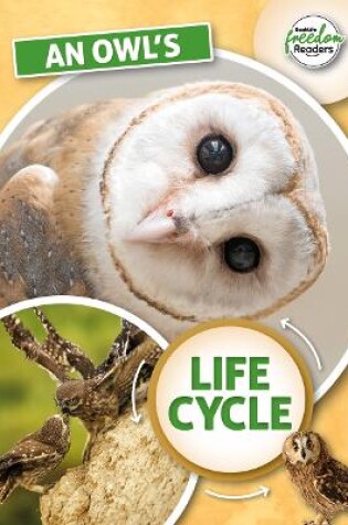 Cover of An Owl's Life Cycle