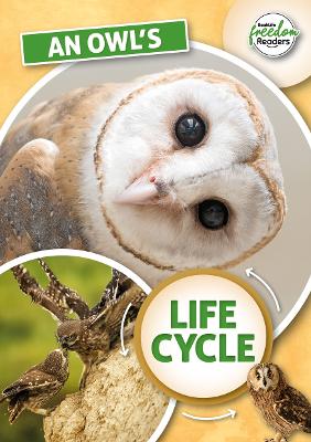 Book cover for An Owl's Life Cycle