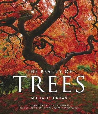 Book cover for The Beauty of Trees