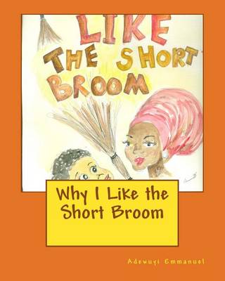 Cover of Why I Like the Short Broom