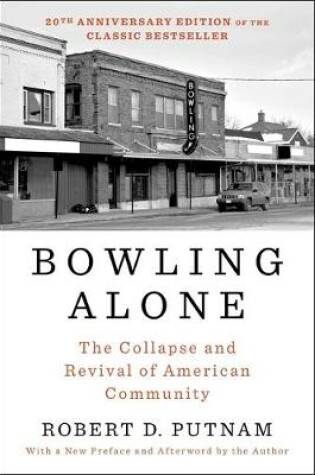 Cover of Bowling Alone