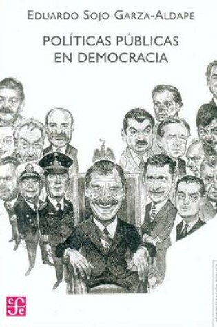 Cover of Politicas Publicas en Democracia