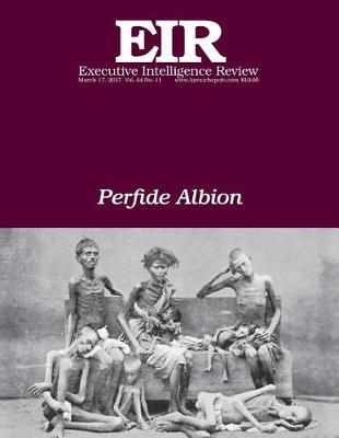 Book cover for Perfide Albion