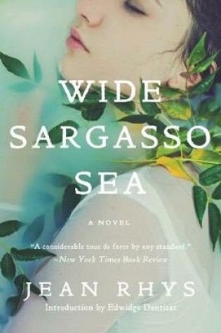 Cover of Wide Sargasso Sea