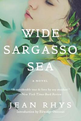 Book cover for Wide Sargasso Sea