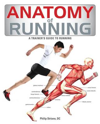 Book cover for Anatomy of Running