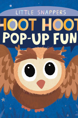 Cover of Hoot Hoot Pop-up Fun