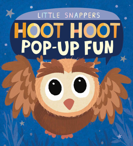 Cover of Hoot Hoot Pop-up Fun