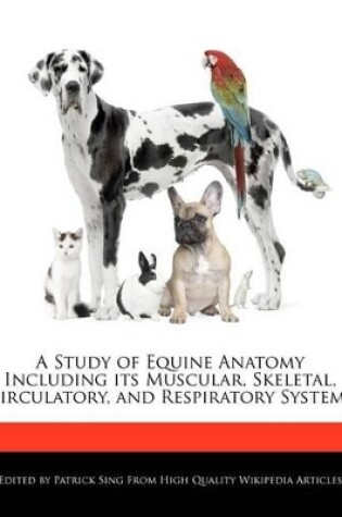 Cover of A Study of Equine Anatomy Including Its Muscular, Skeletal, Circulatory, and Respiratory Systems