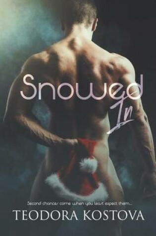 Cover of Snowed in