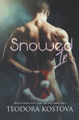 Book cover for Snowed in