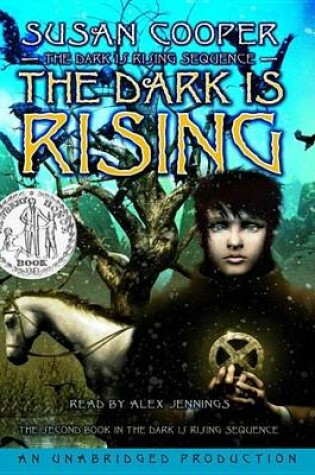 Dark Is Rising Sequence, Book Two