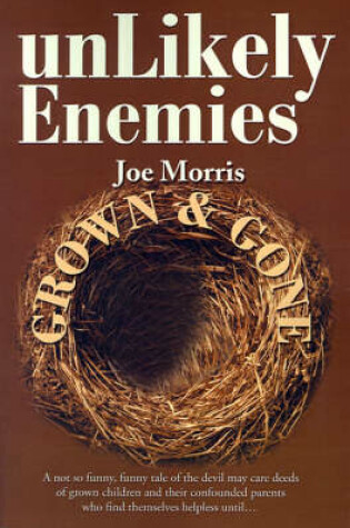 Cover of Unlikely Enemies