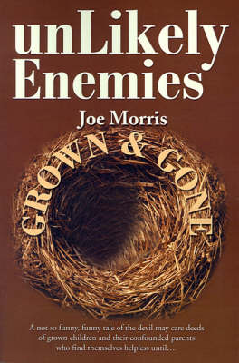 Book cover for Unlikely Enemies