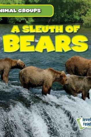 Cover of A Sleuth of Bears